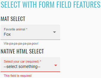 Form Feature Select